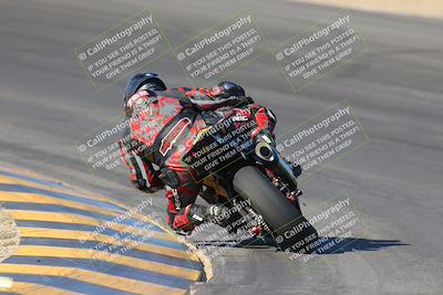 media/Nov-12-2023-SoCal Trackdays (Sun) [[5d1fba4e7d]]/Turn 10 Backside (115pm)/